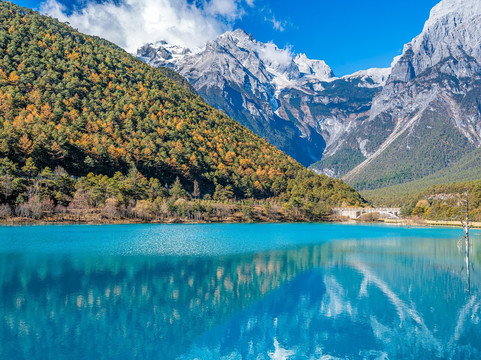 Tuniu-南京市必去景点