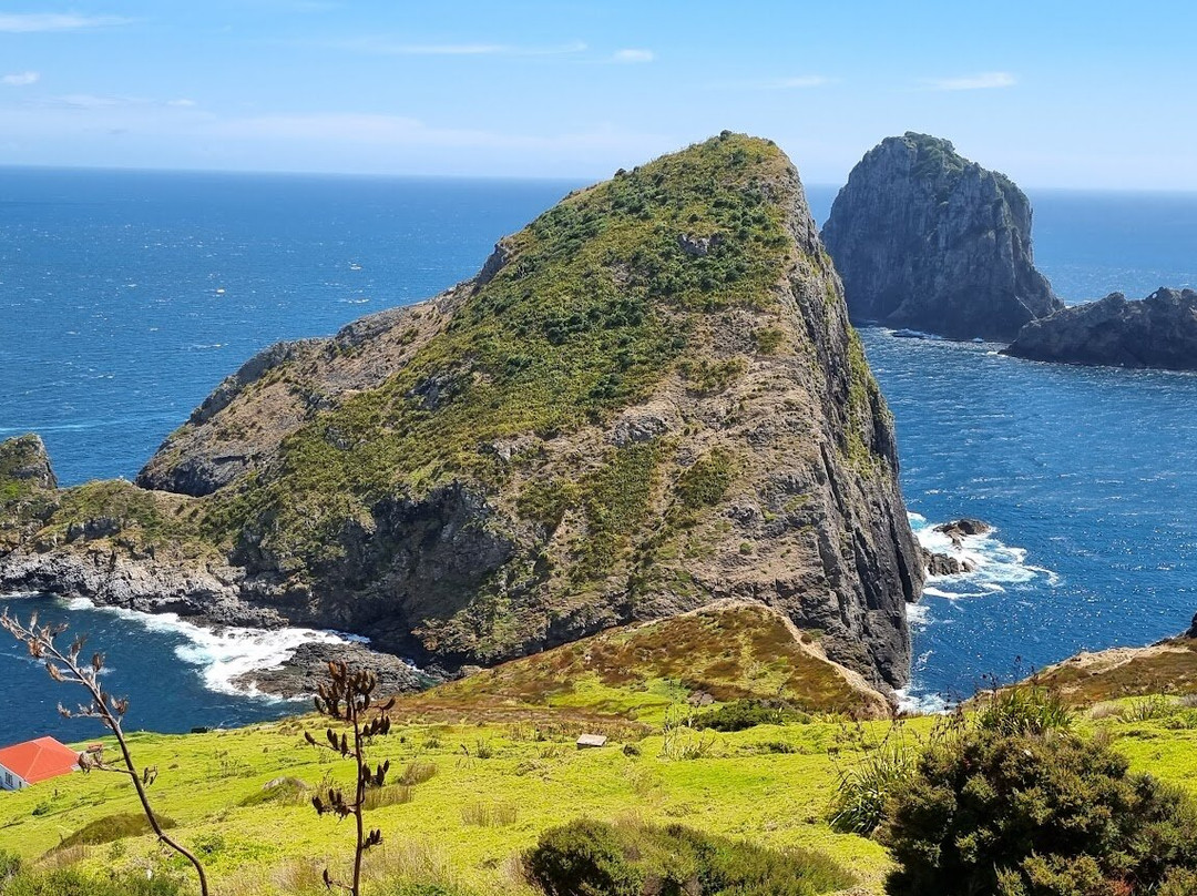 Cape Brett Walkway景点图片