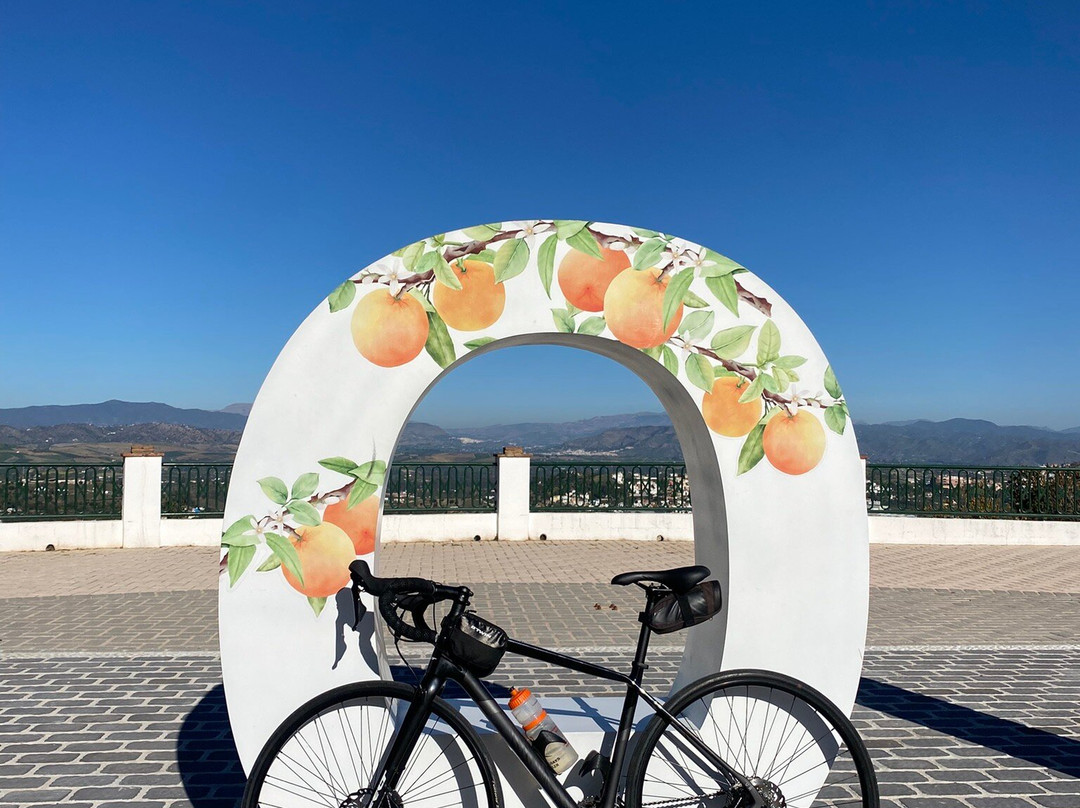 Bikestardo景点图片