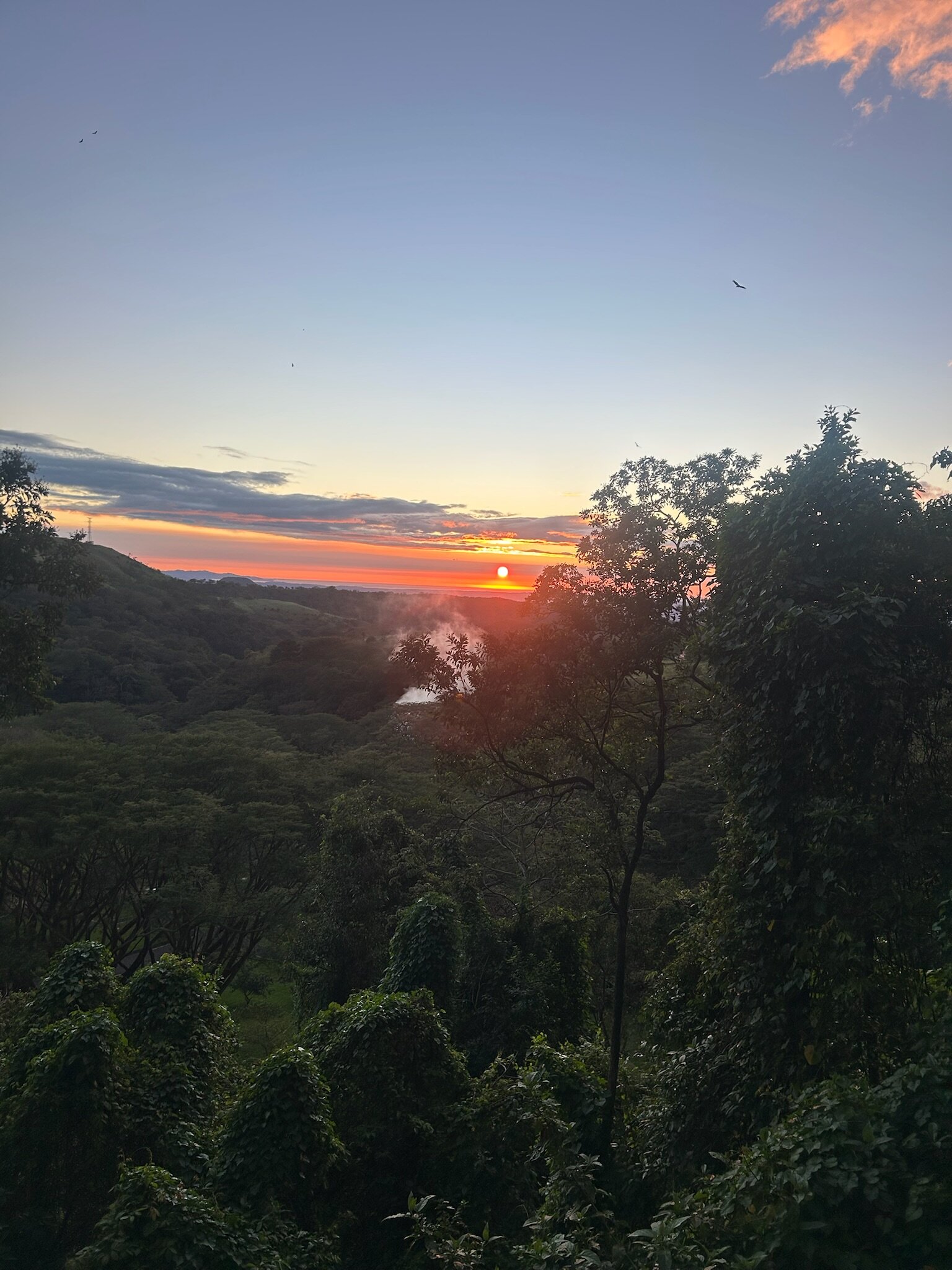 Borinquen Thermal Resort-酒店景观