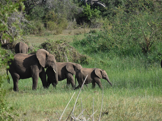 Great Native Safaris-吉佳利必去景点
