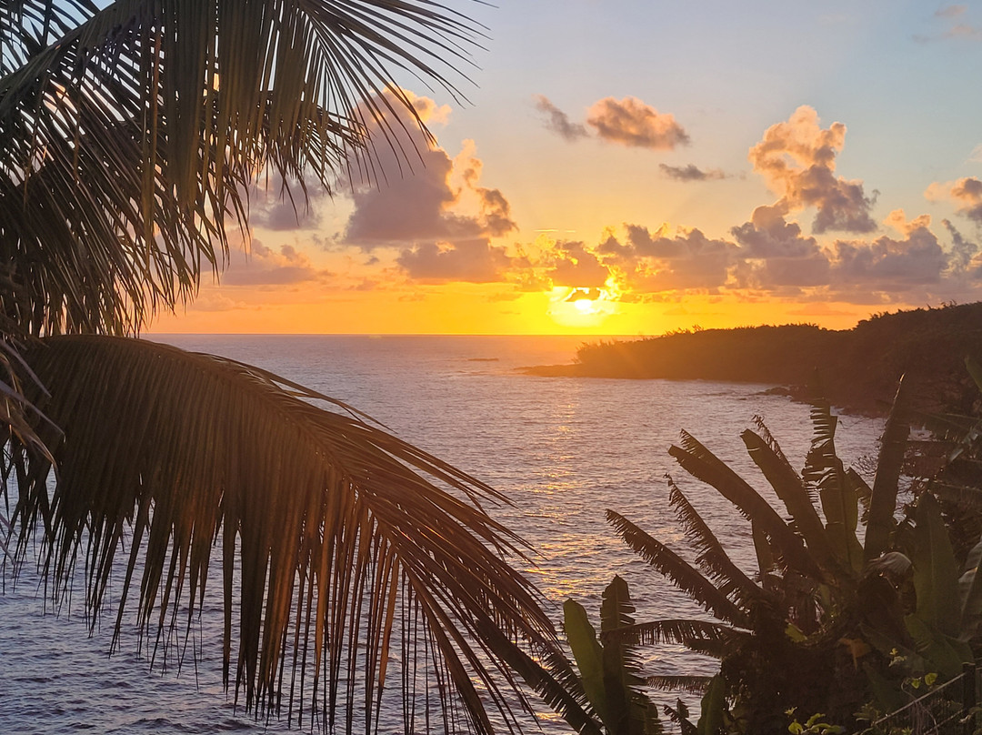 Ferme Auberge la Cayenne主图