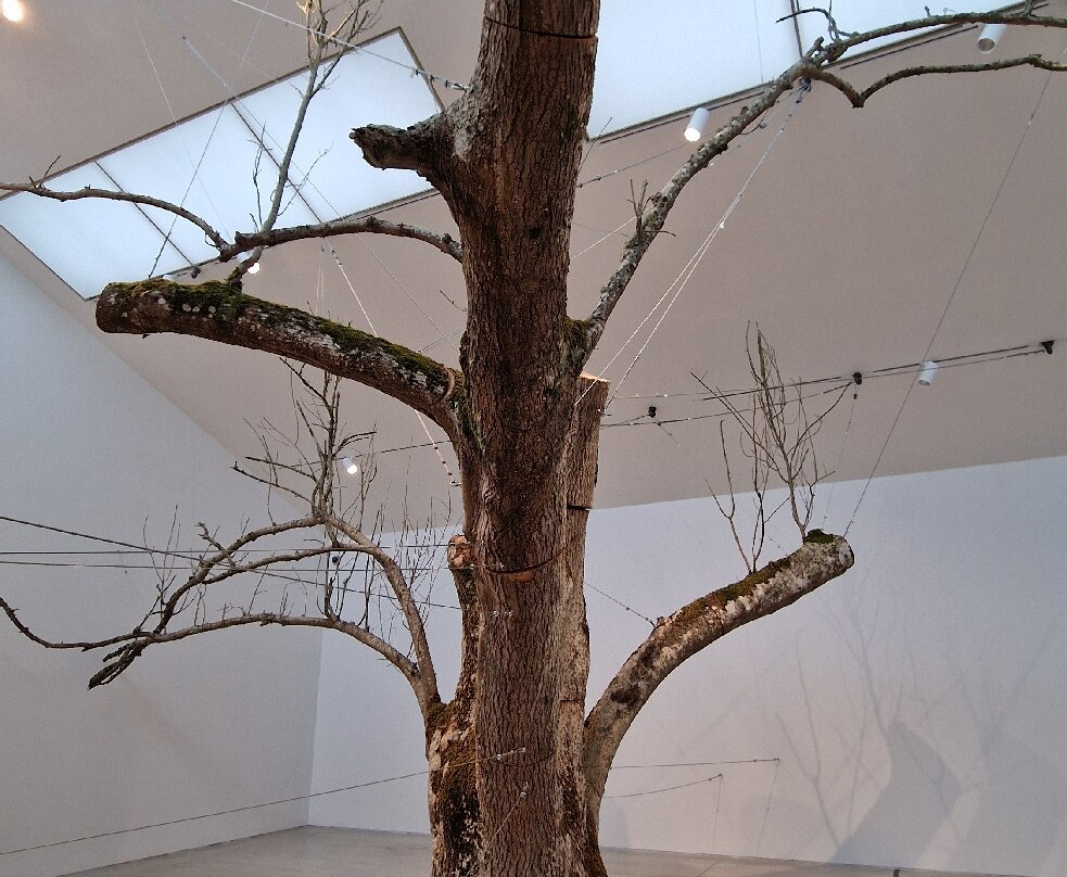 Turner Contemporary景点图片