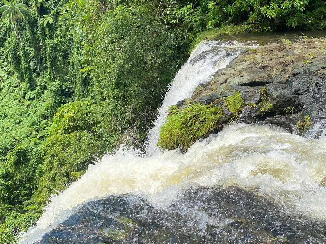 Fuipisia Waterfall-Upolu必去景点