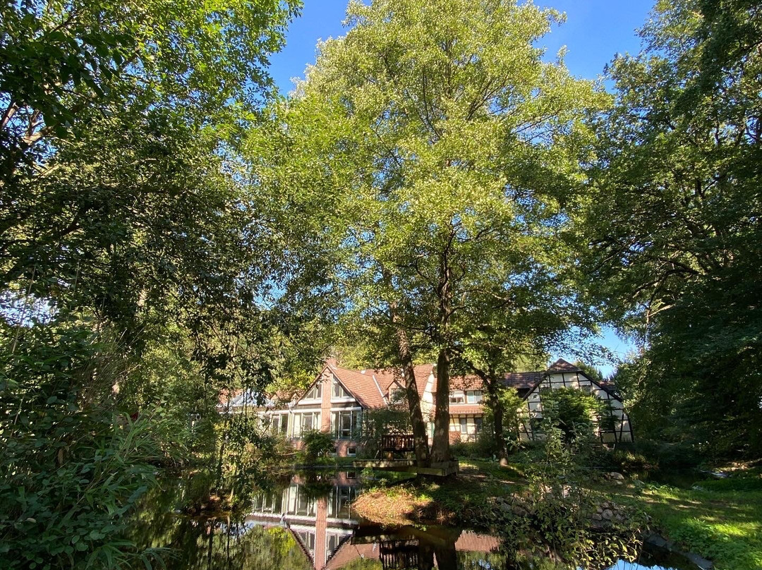 Ellernhof Hotel | Tagungen | Retreats主图