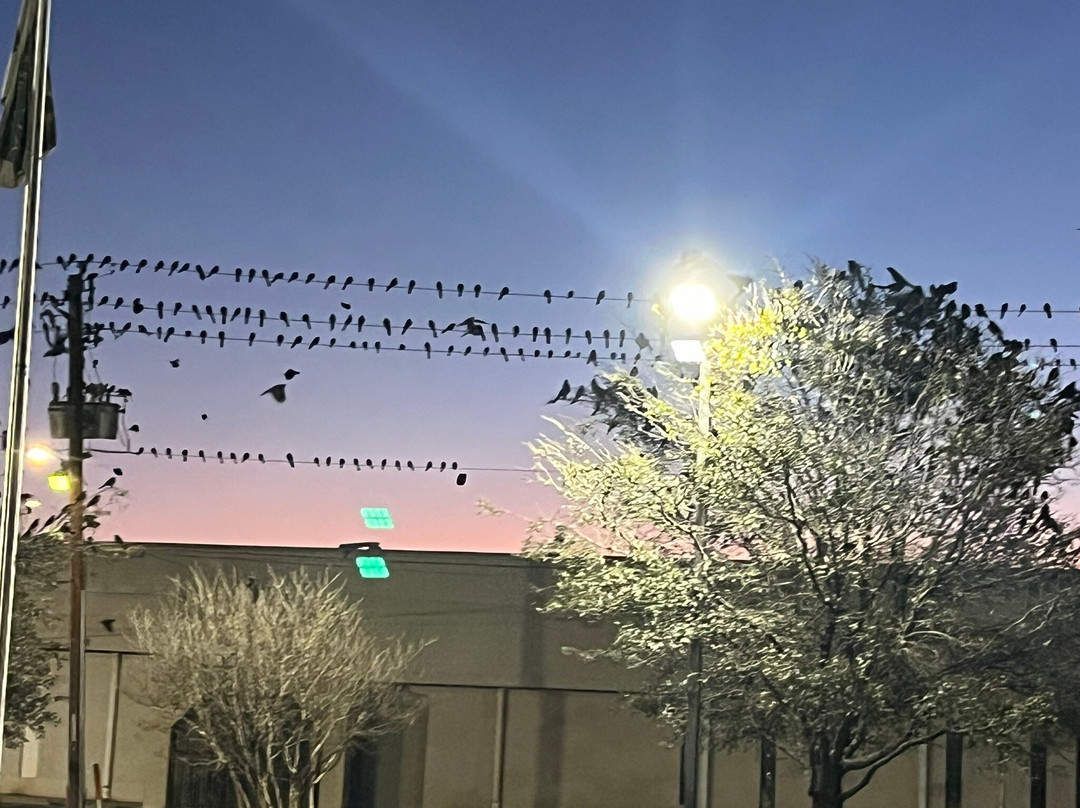 La Quinta Inn & Suites by Wyndham Abilene Mall主图