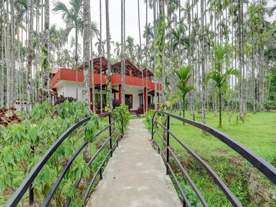Lazo Areca Resort