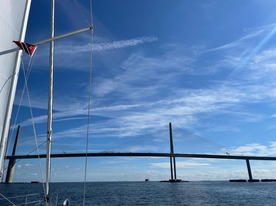 Intelligent Sailing-圣彼德斯堡必去景点