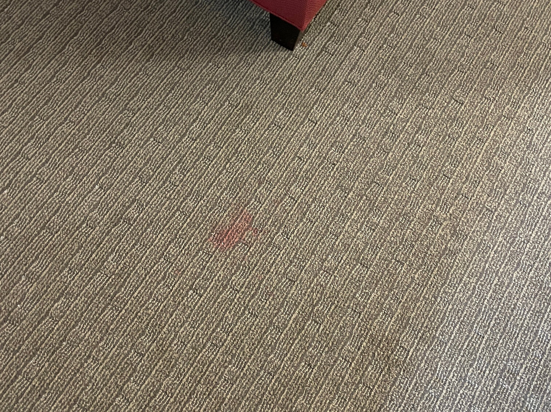 Comfort Suites Grand Rapids North主图