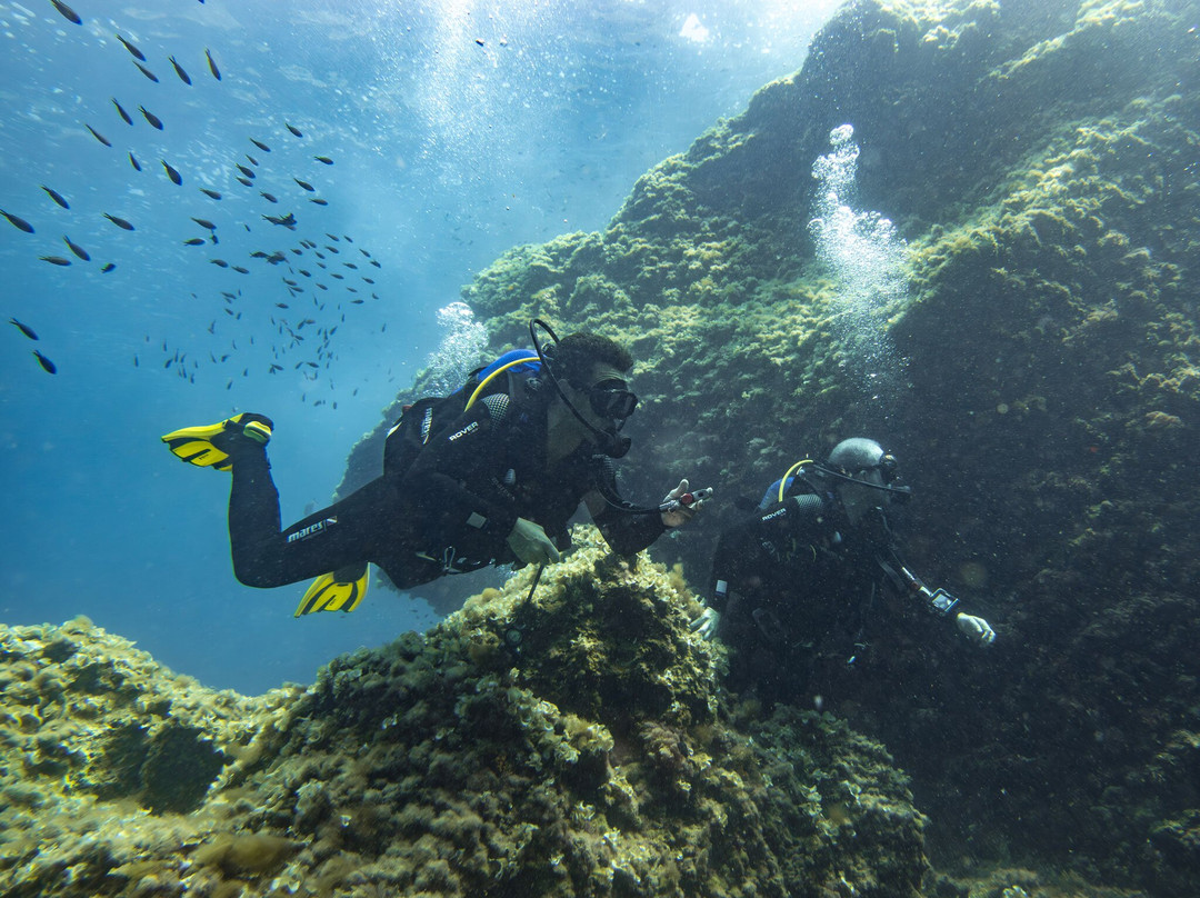 Scubaneo-阿库迪亚必去景点