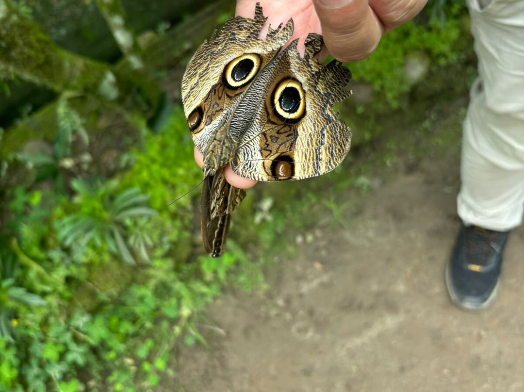 Mariposario De Machupicchu-温泉镇必去景点