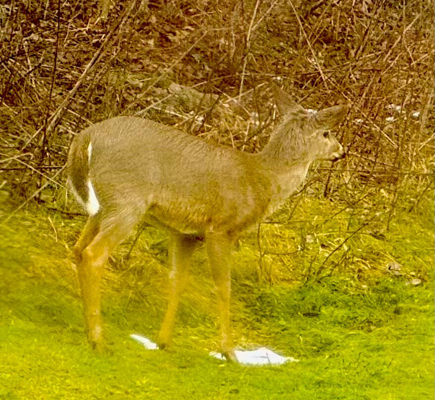 梅迪纳速8酒店主图