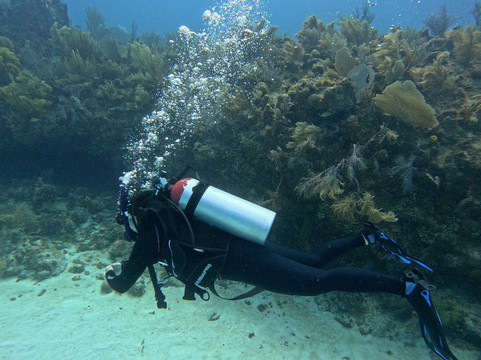 Diving Funs-圣安德烈斯岛必去景点