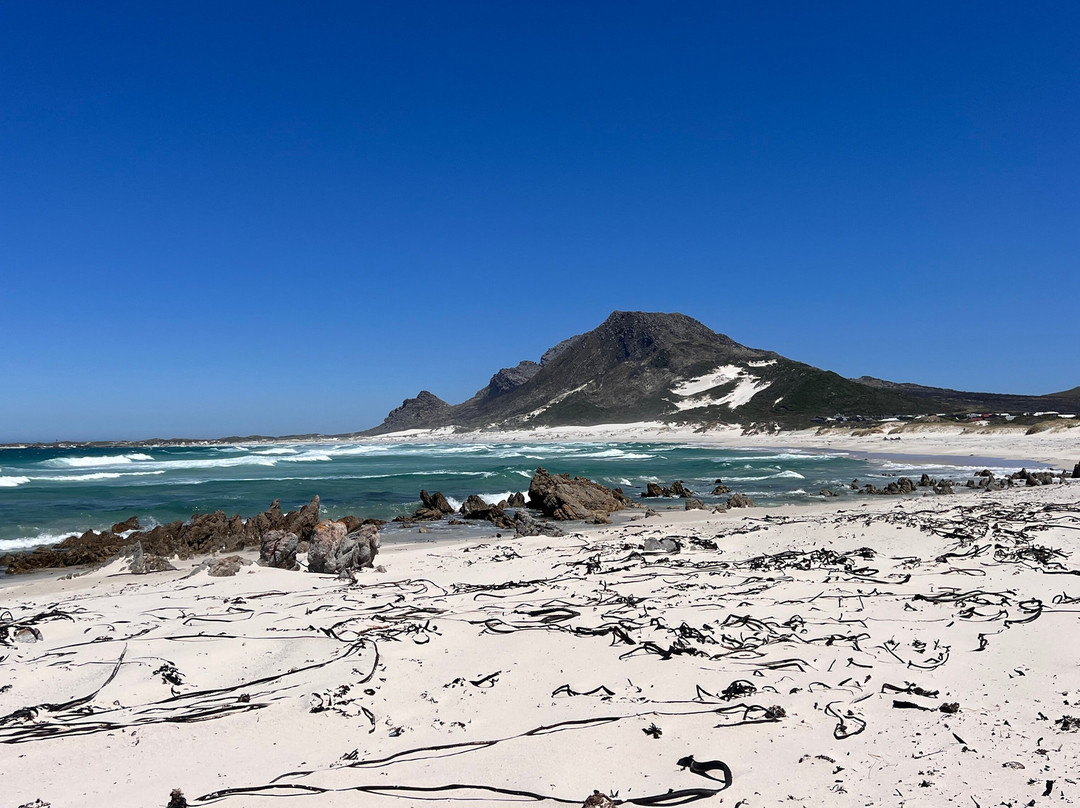 Pringle Bay  Beach-Pringle Bay必去景点