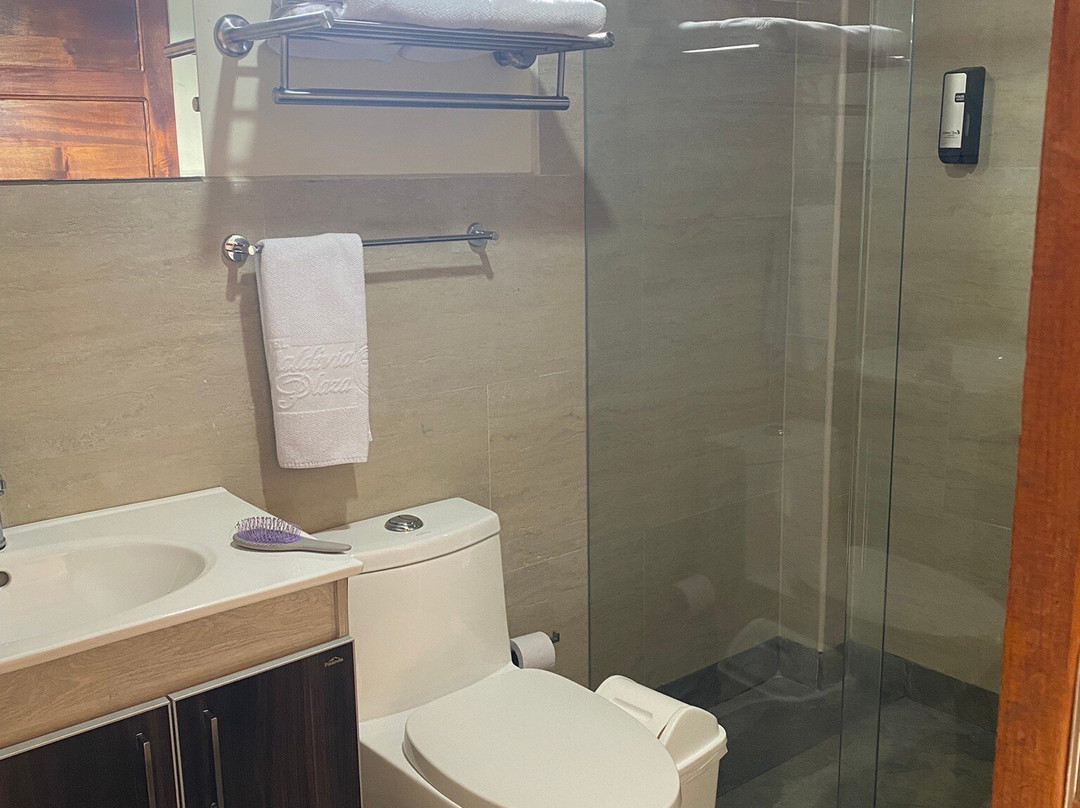 Valdivia Plaza Hotel主图