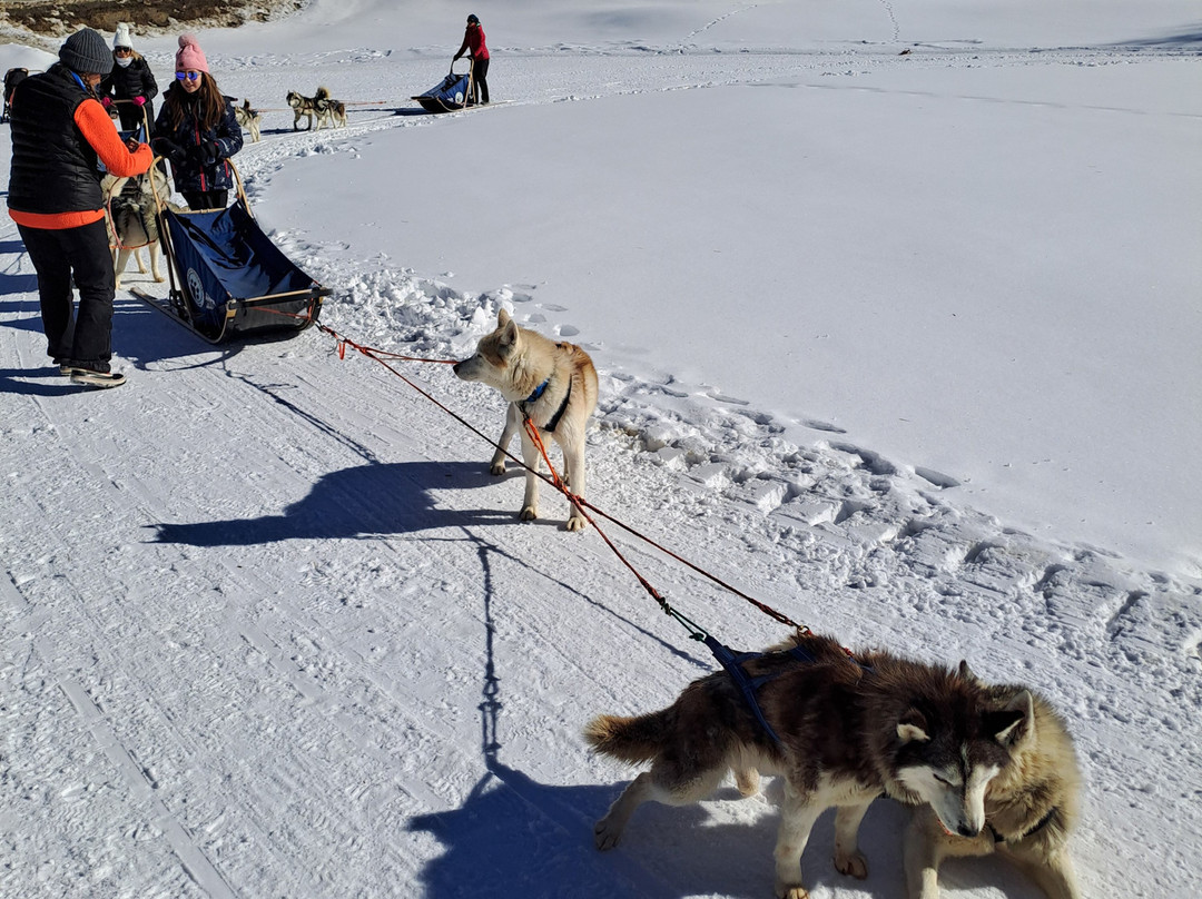 The Husky Experience Sestriere-Sestriere必去景点