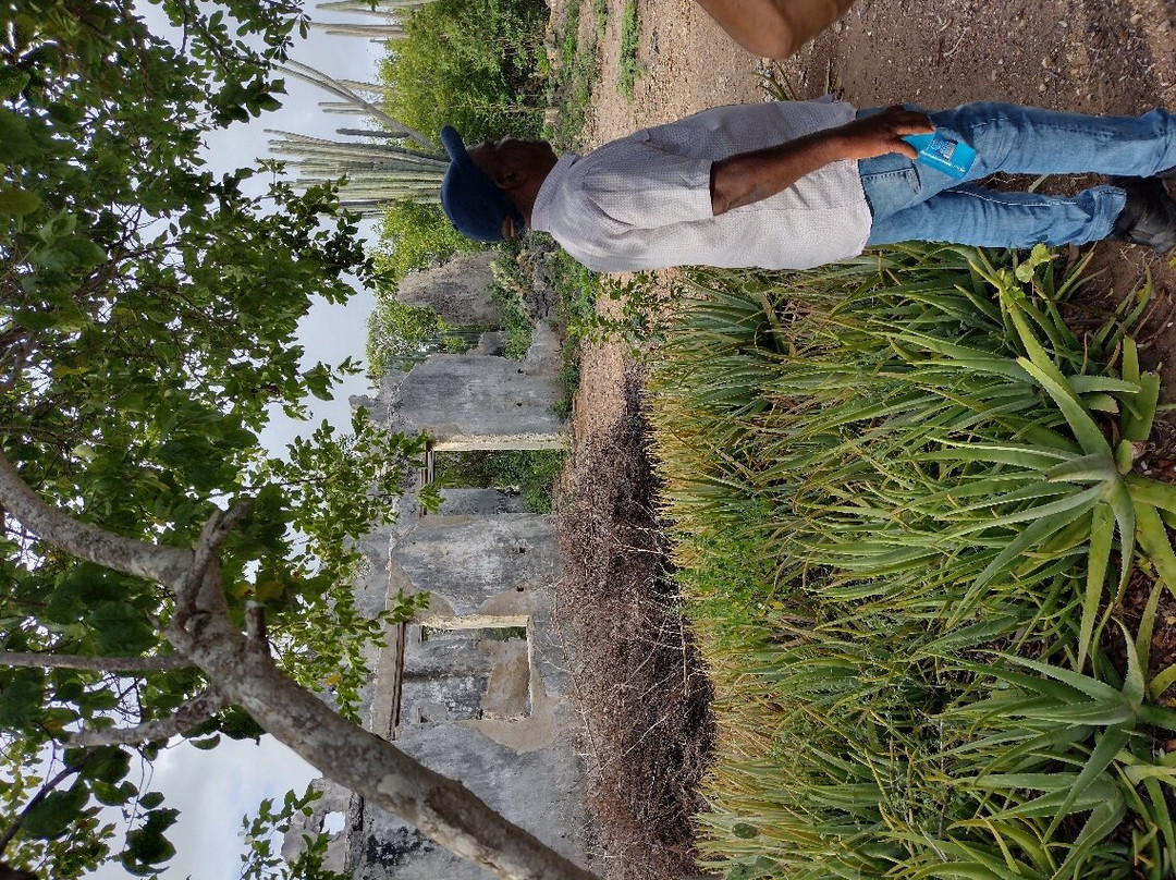 Mount Christoffel-Christoffel National Park必去景点