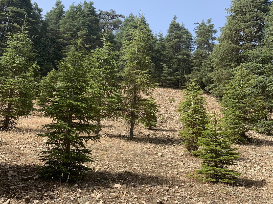 Jari Saoud-Azrou必去景点