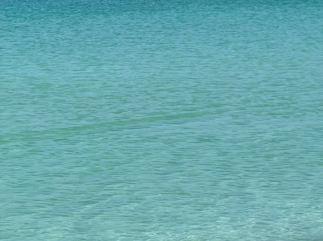Shoab beach景点图片