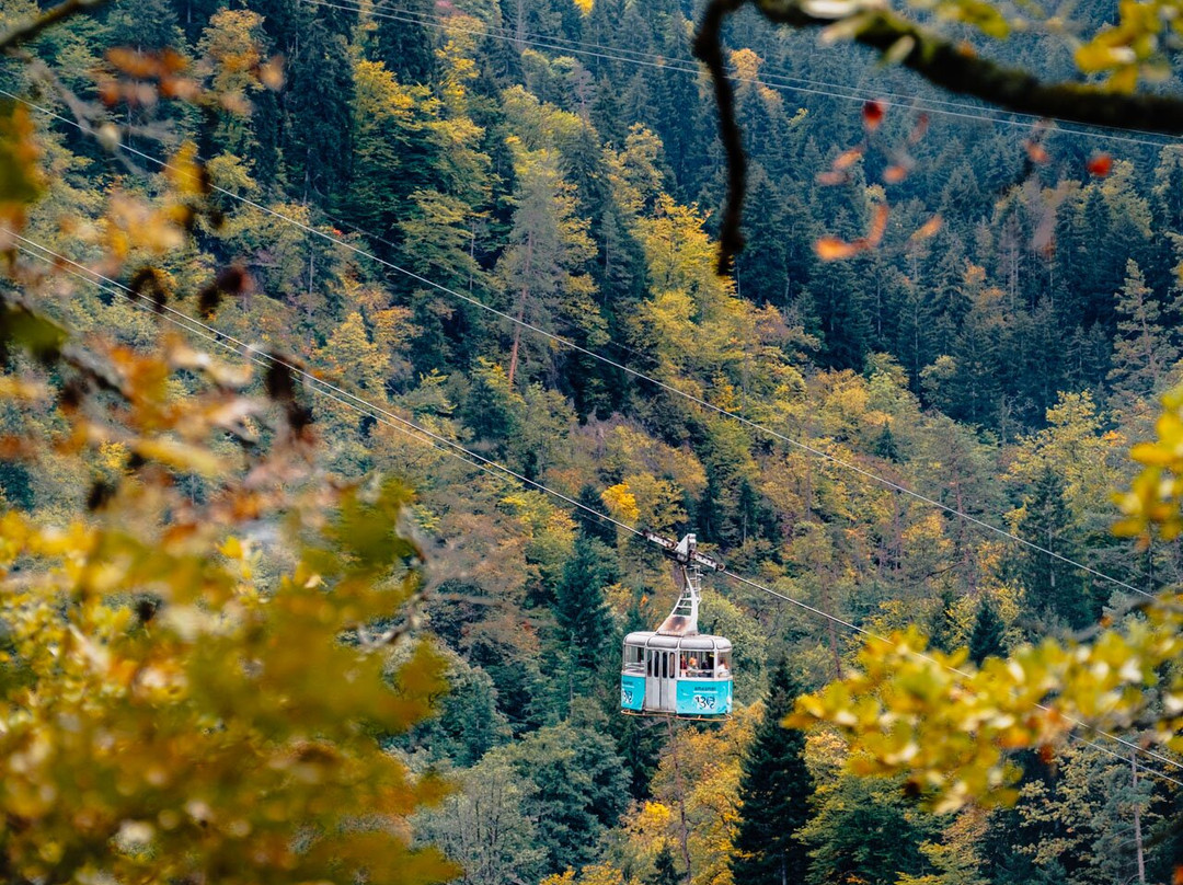 Ropeway Borjomi-Borjomi必去景点