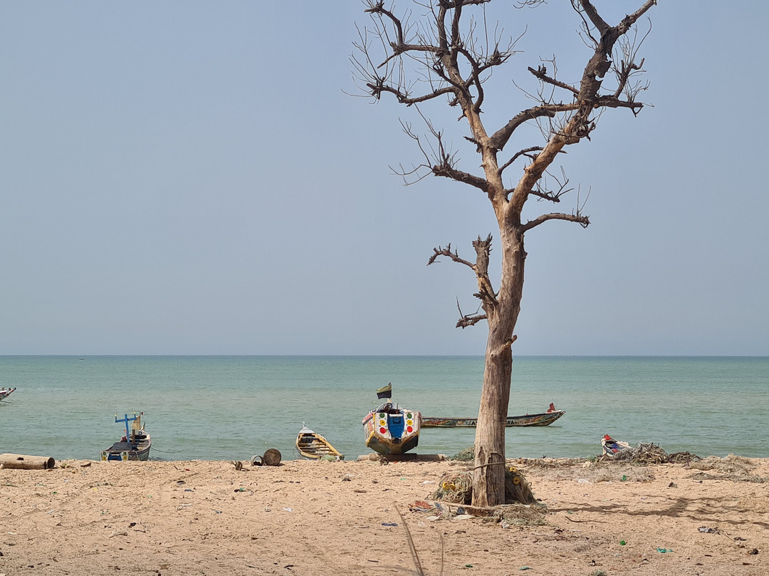 Taxi & excursions Riu baobab Sénégal景点图片