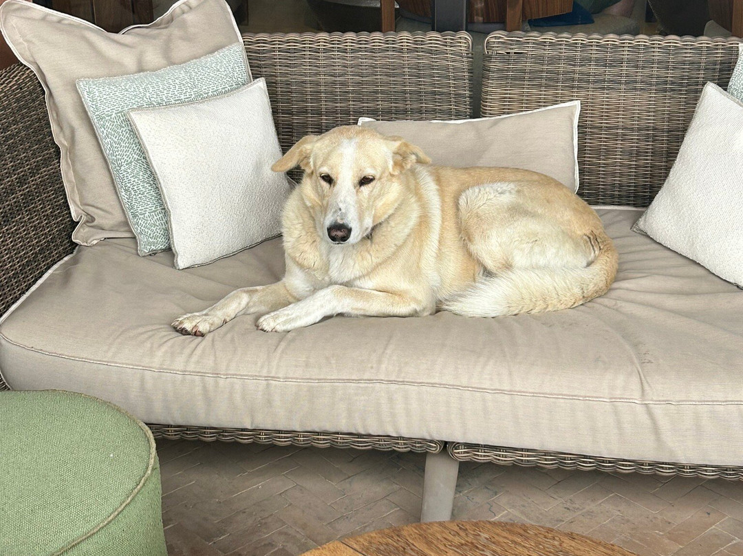 Al Maaden Golf Resort-马拉喀什必去景点