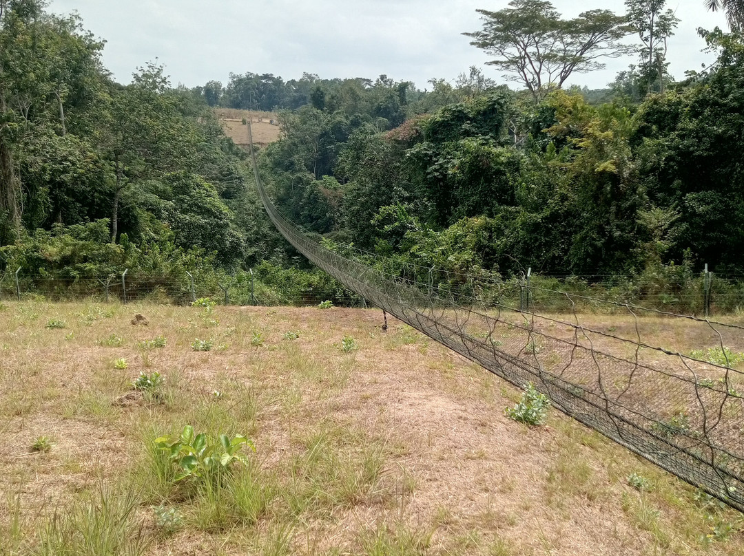 Gabon Adventure Tours-Oyem必去景点