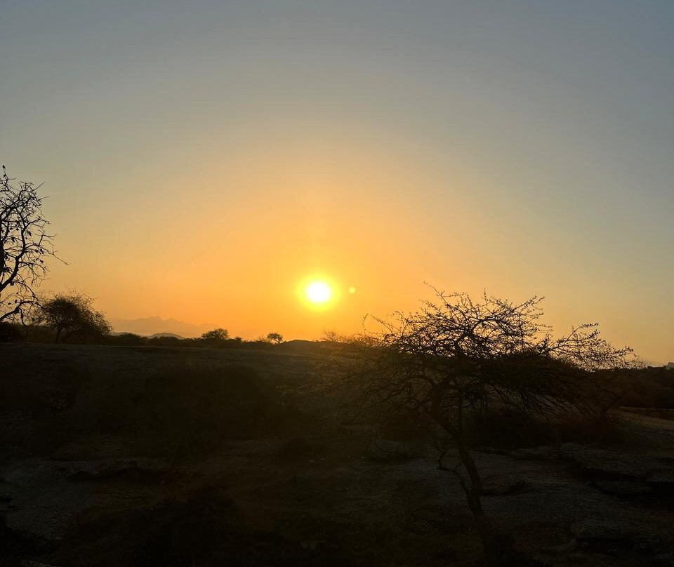 Trulyy The Jawai Leopard Kingdom主图