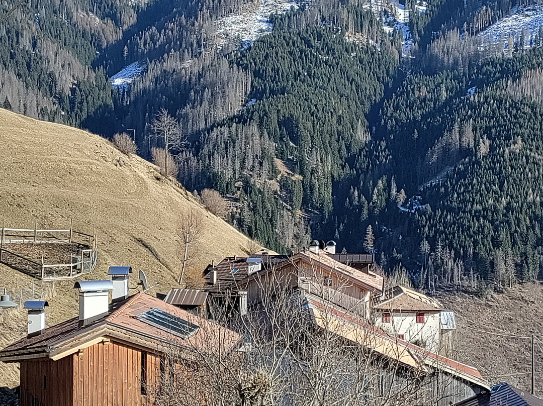 Tra Antichi Fienili Nel "Paradiso Delle Donne".景点图片