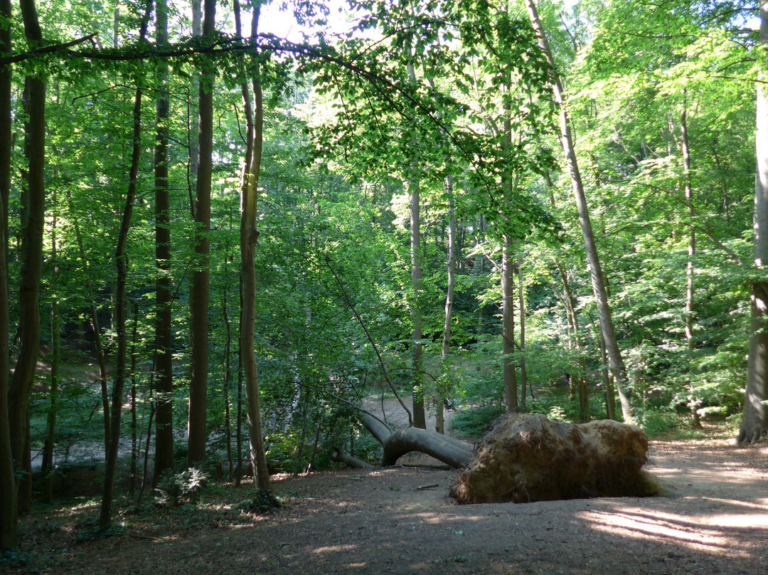 Parc Brugmann-于克勒必去景点