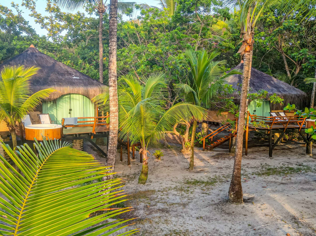 Aldeia Da Mata Eco Lodge主图