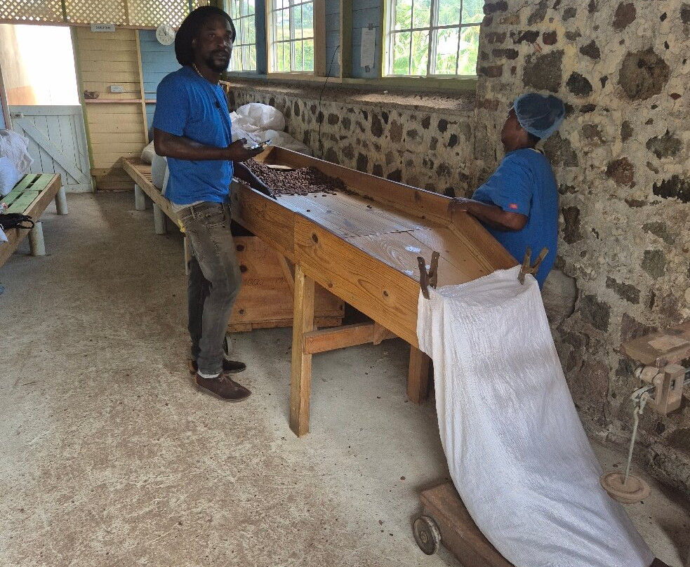 Jouvay Chocolate-Victoria必去景点