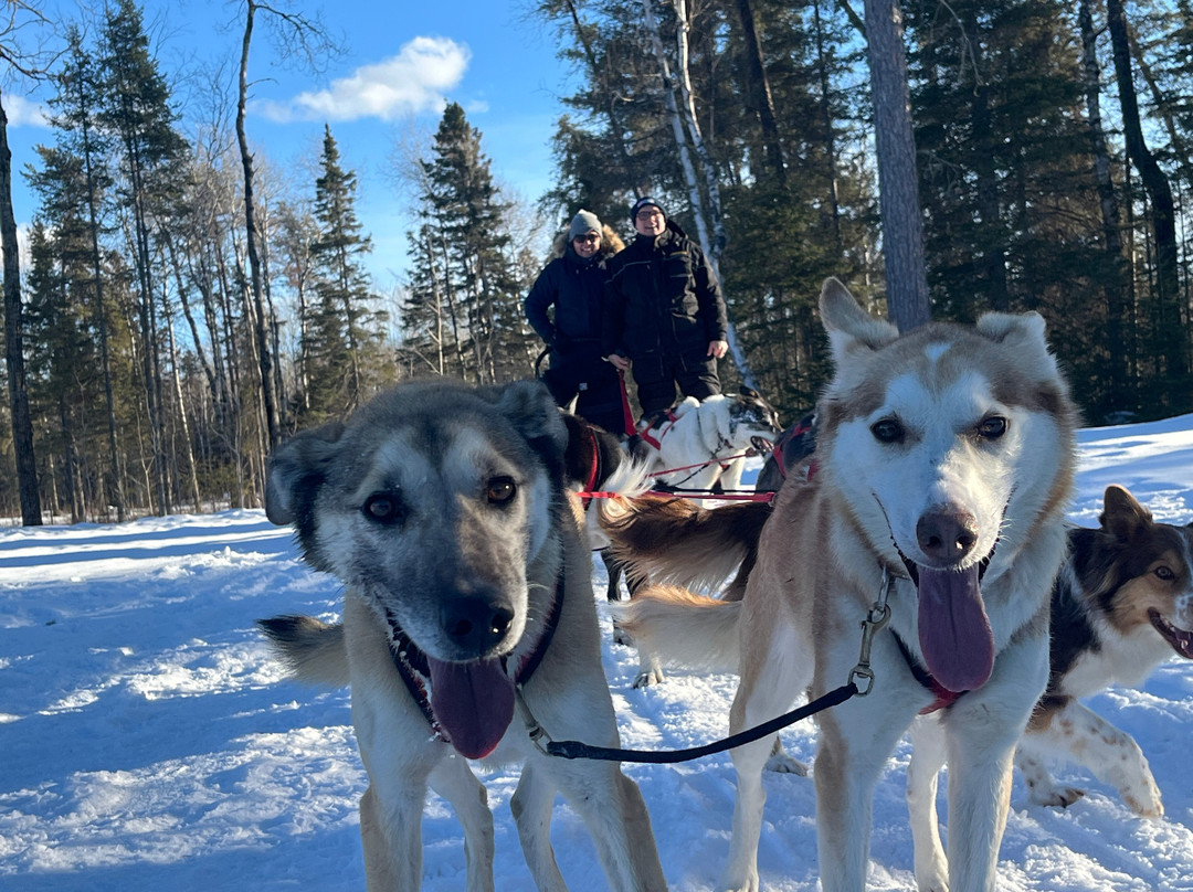 Chilly Dogs Sled Dog Trips-伊利必去景点