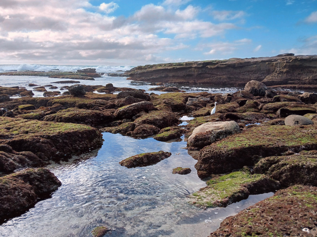 Shell Beach Tide Pools-拉荷亚必去景点