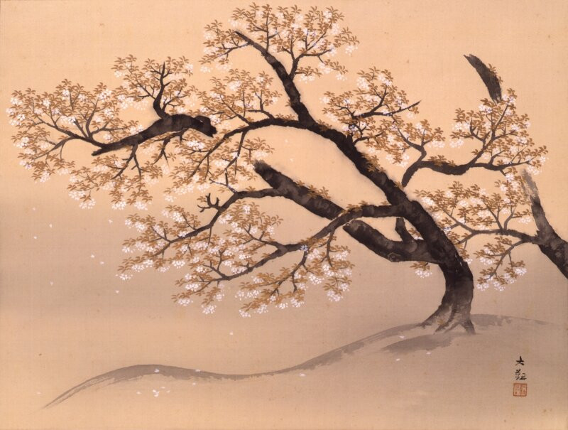 山种美术馆-Hiroo必去景点