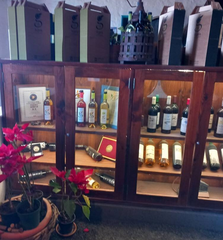 Bodega La Geria景点图片