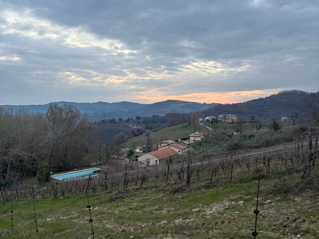 Agriturismo Le Case - Residenza Di Campagna主图