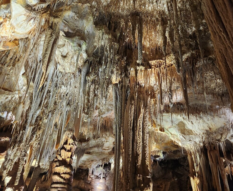 Tantanoola Caves Conservation Park-Tantanoola必去景点