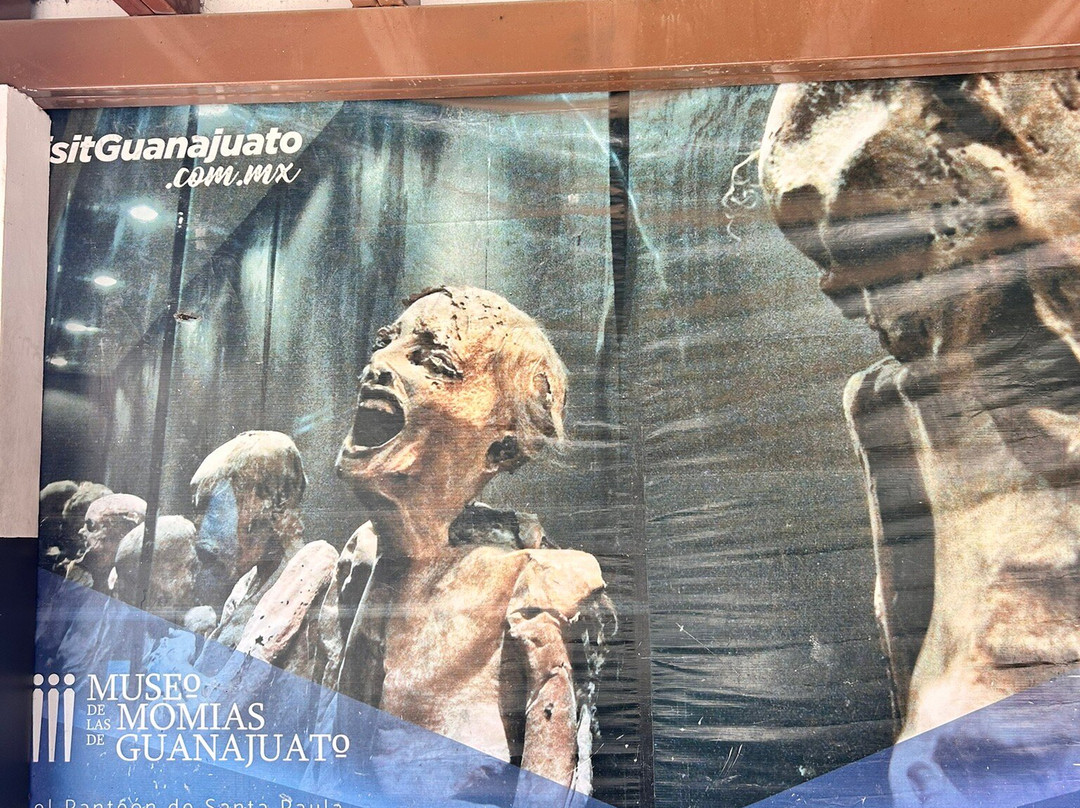 Museo de las Momias de Guanajuato景点图片