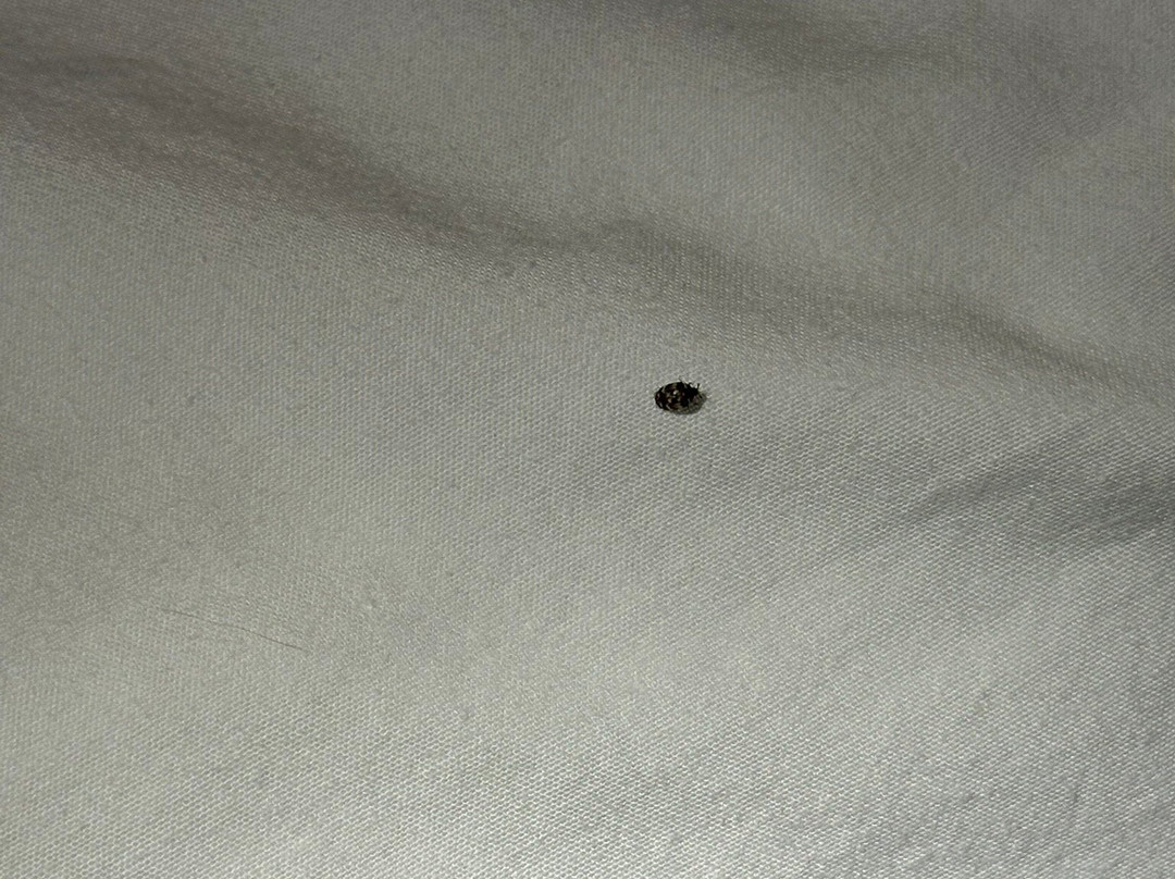 圣拉蒙原住客栈主图