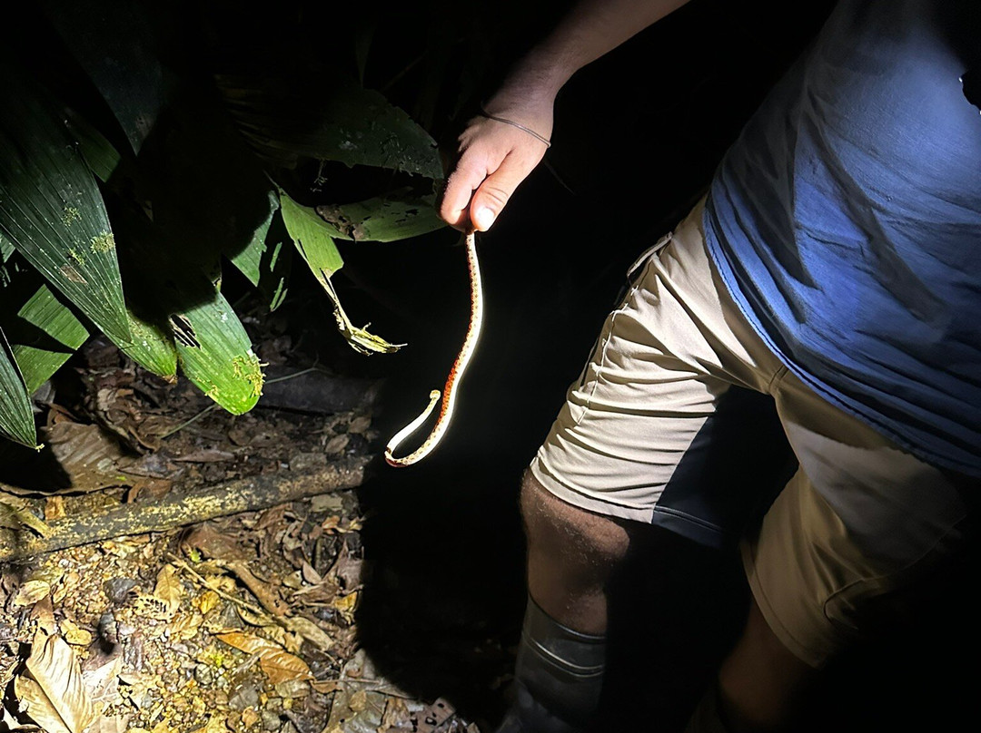 Sukia Travel-德雷克湾必去景点