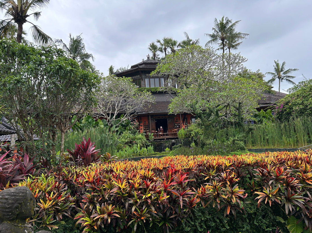 Swan Paradise A Pramana Experience主图