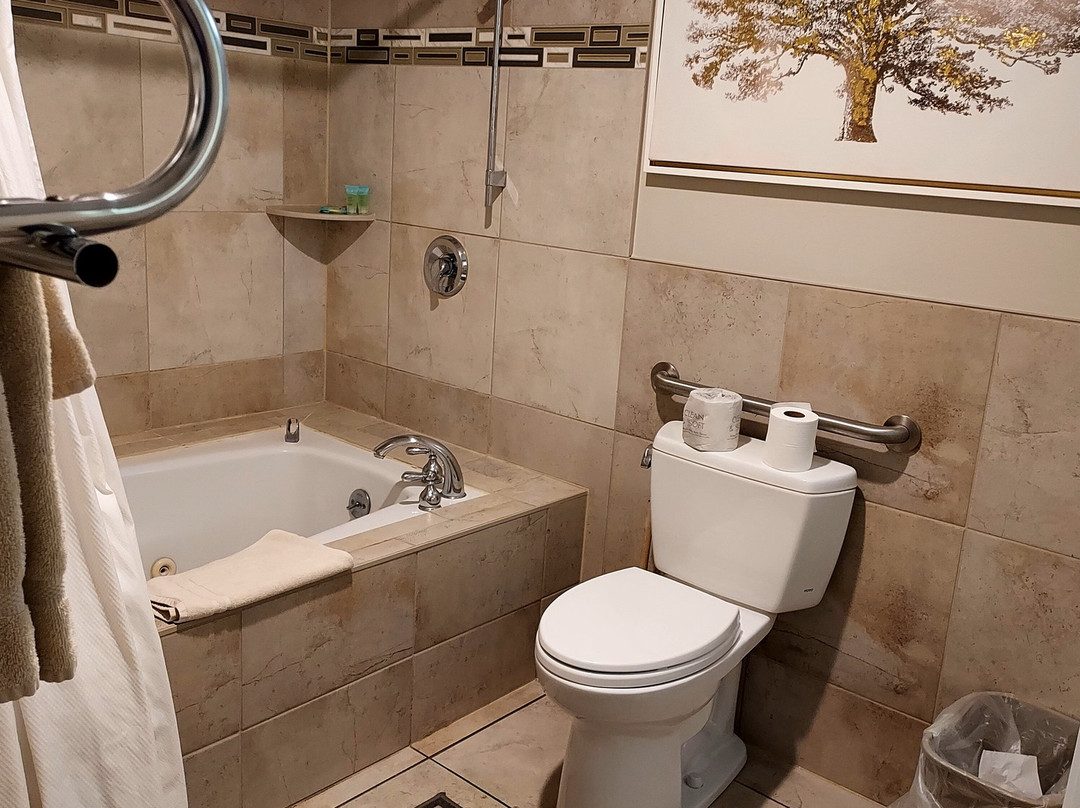 The Lava Hotel主图