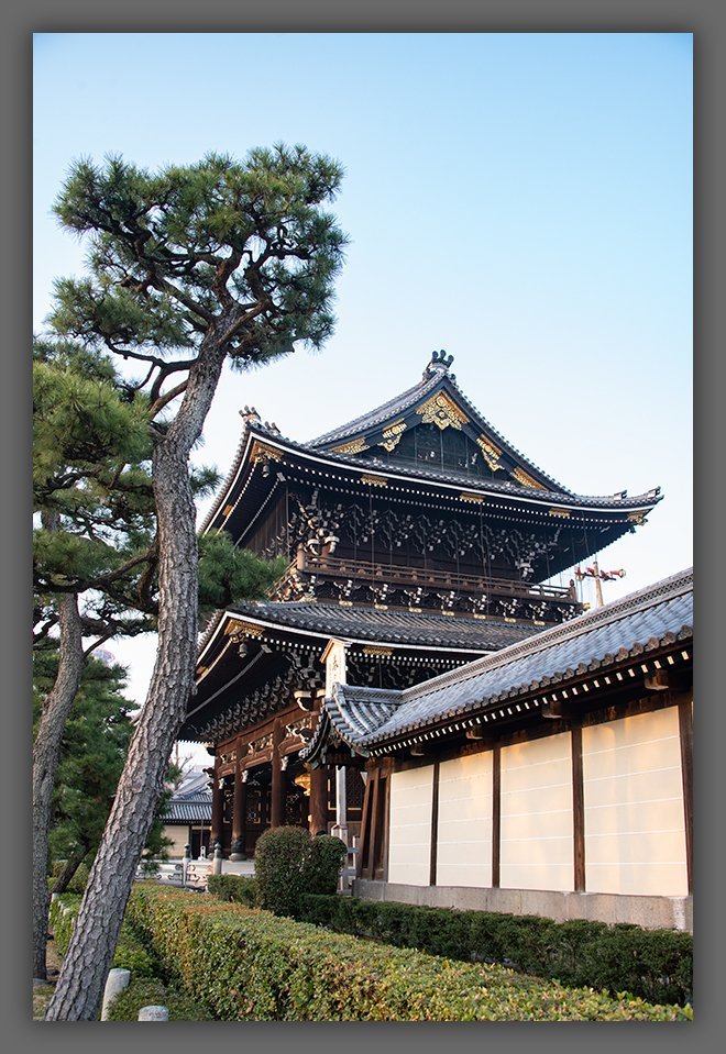 松叶家旅馆-酒店景观