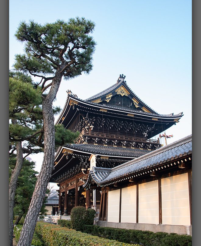 松叶家旅馆主图