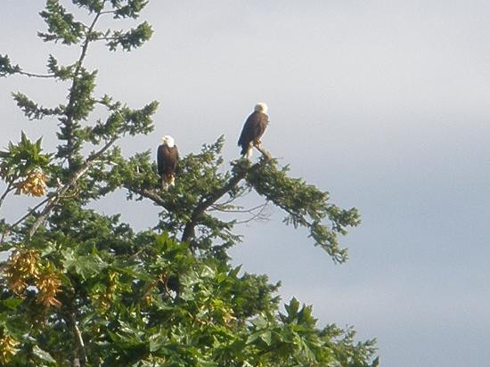 Inn At Ship Bay主图