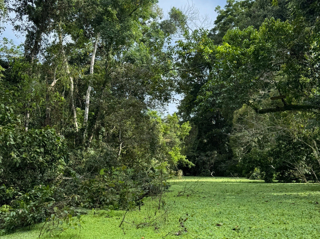 Amazon Fronteras Jungle Tours景点图片