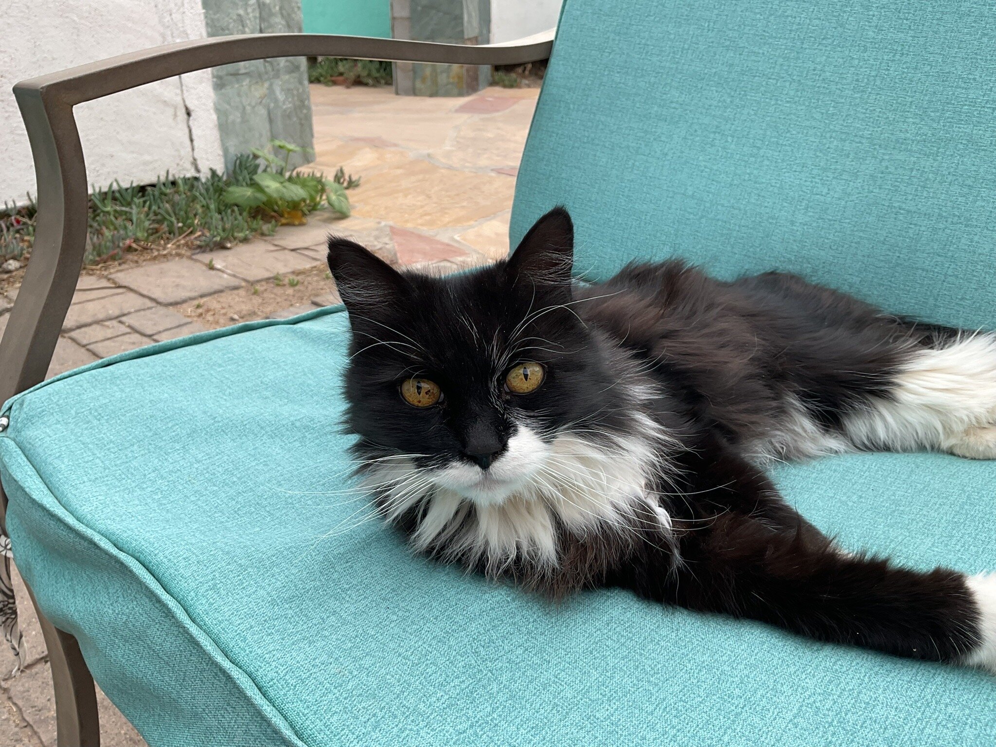 Fire Water Lodge-官方