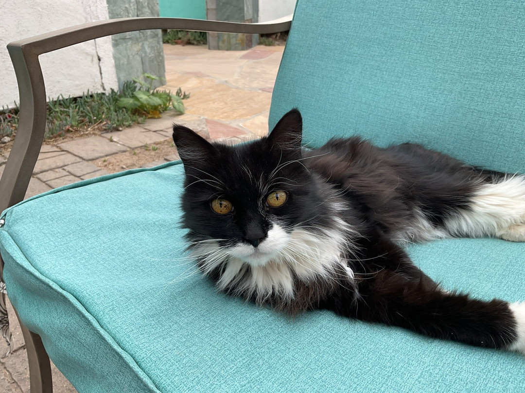 Fire Water Lodge主图