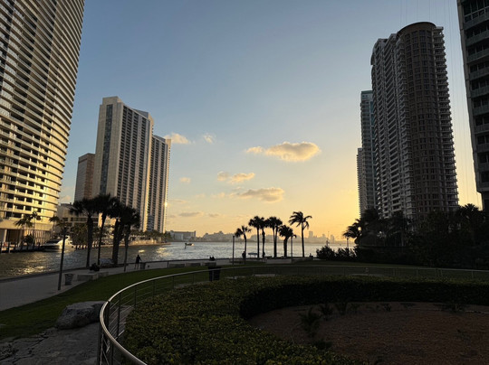 迈阿密圆环艺术街-迈阿密必去景点